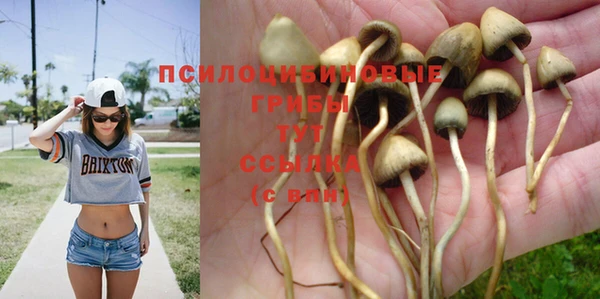 первитин Бугульма